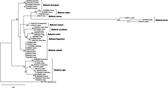 Figure 7