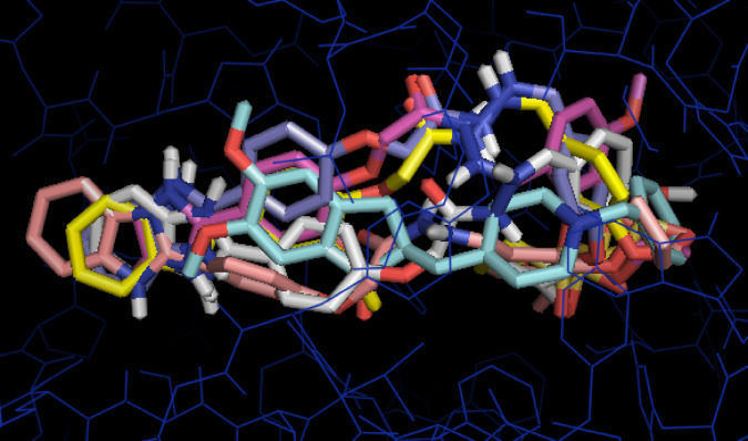 Figure 4