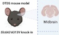 Figure 17