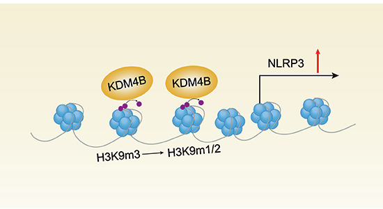 Figure 14