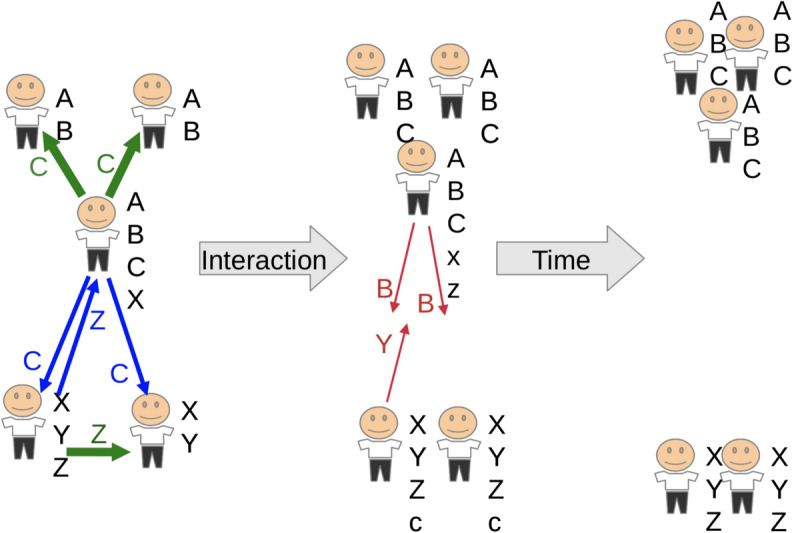 Figure 7