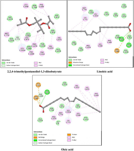 FIGURE 3