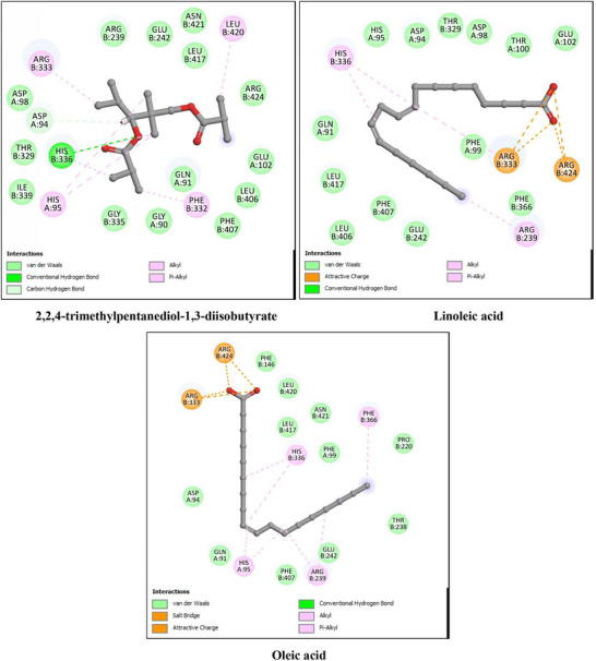FIGURE 4