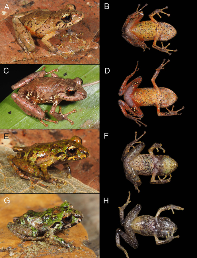 Figure 12