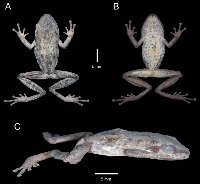 Figure 14
