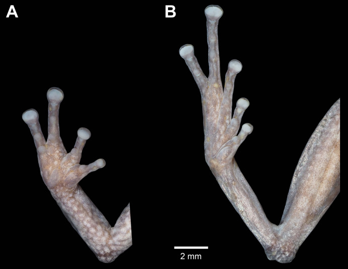 Figure 15
