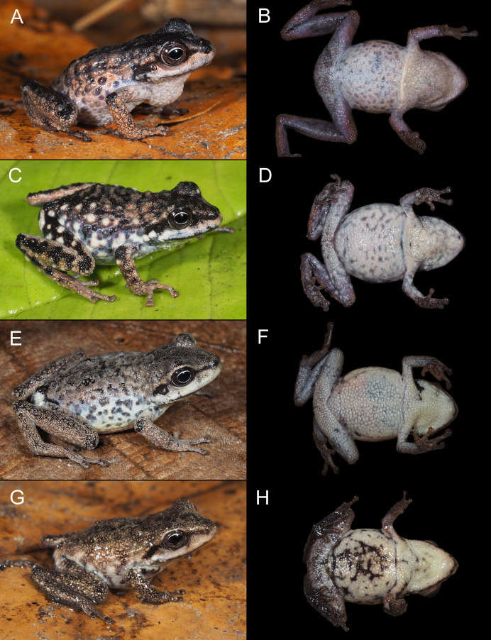 Figure 16