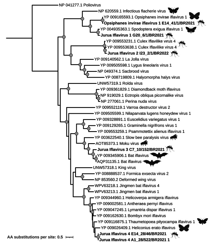 Figure 6