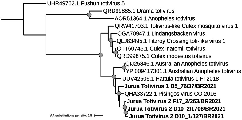 Figure 10