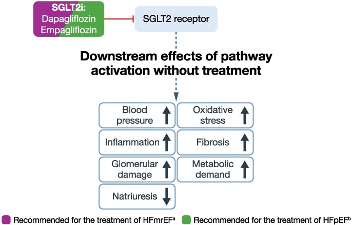 Figure 5