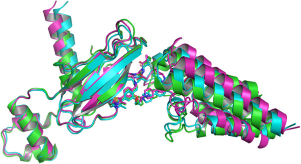 Figure 8