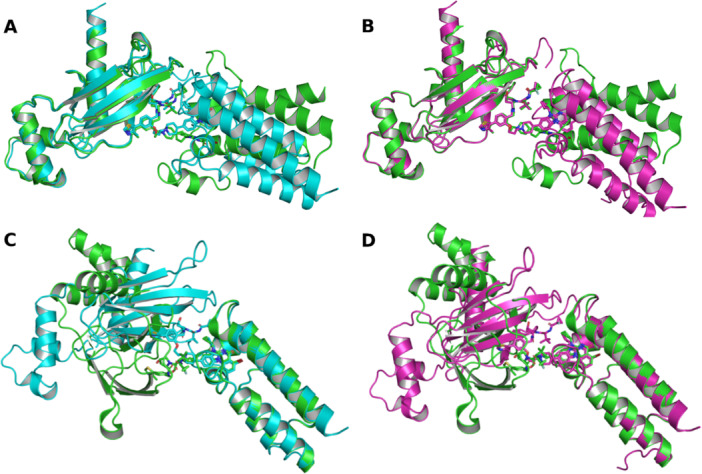 Figure 7