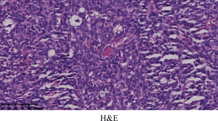 Figure 7