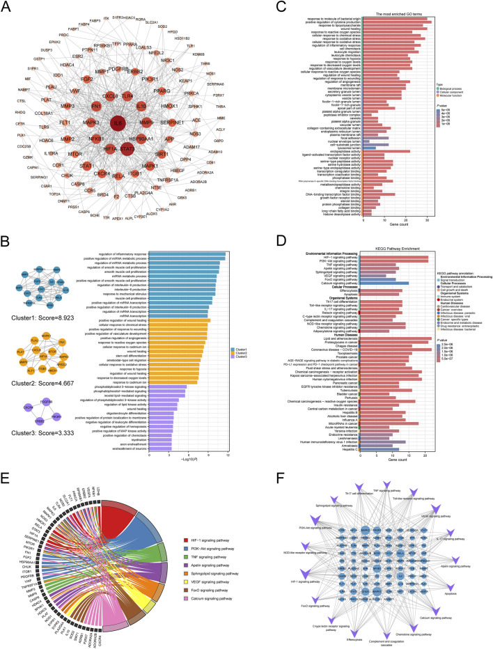 FIGURE 6