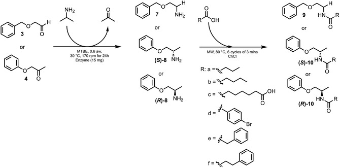 SCHEME 3