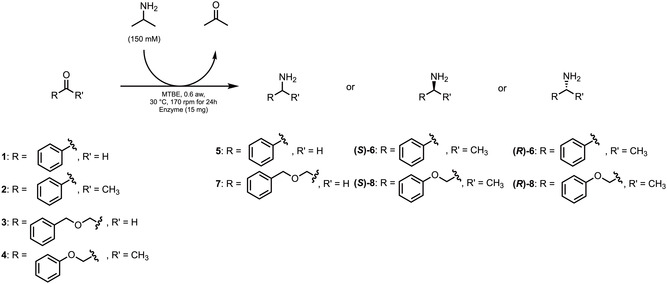 SCHEME 2