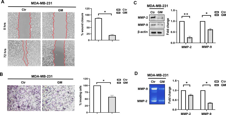 Figure 4