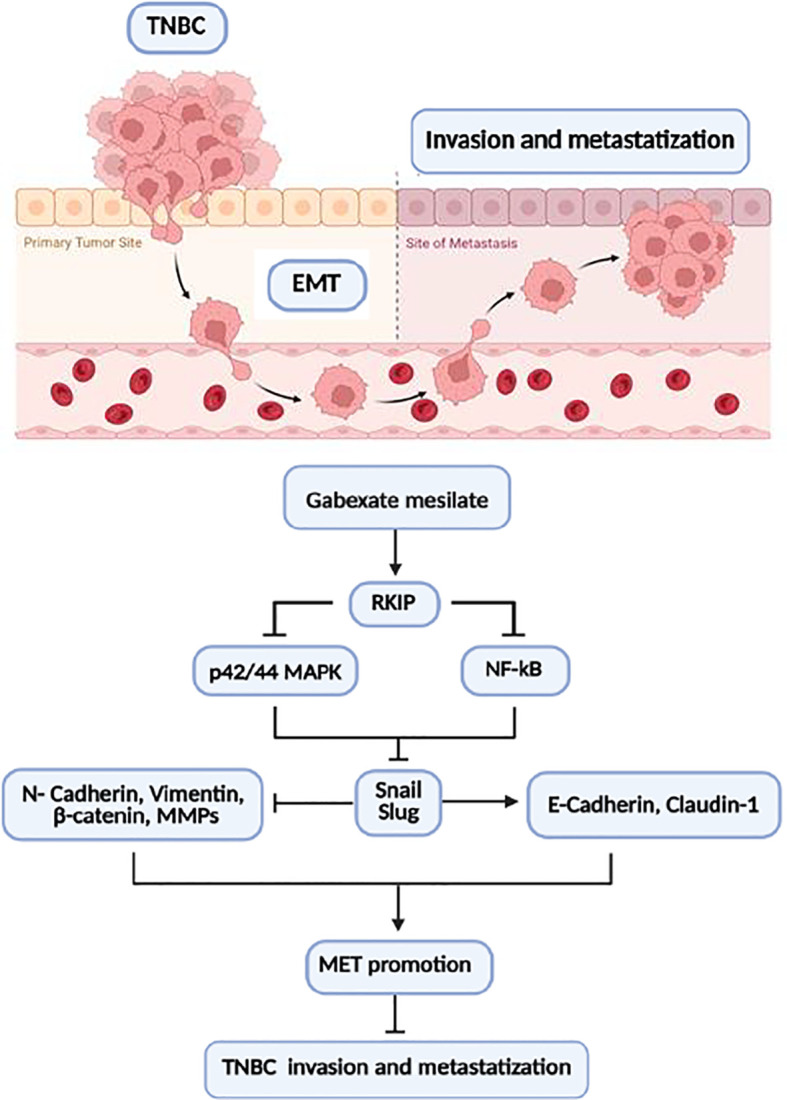 Figure 5
