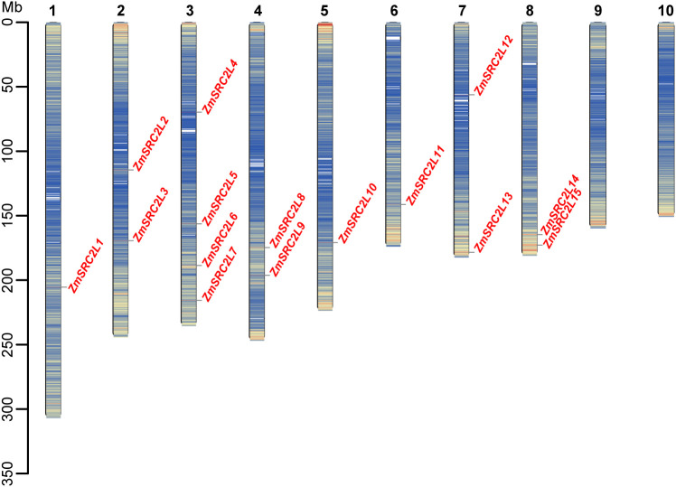 Figure 1