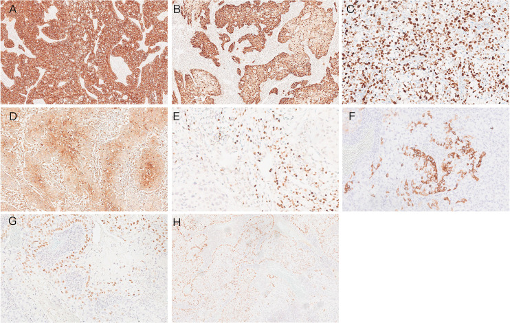 Figure 2