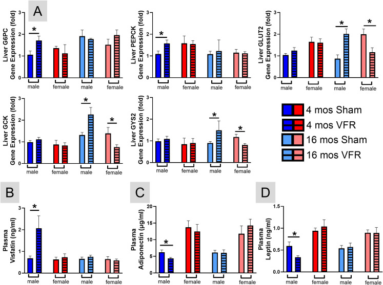 Figure 4
