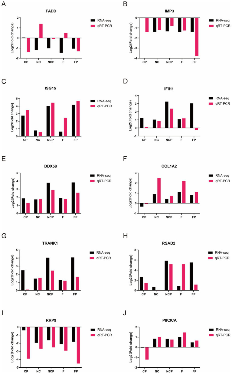 Figure 11