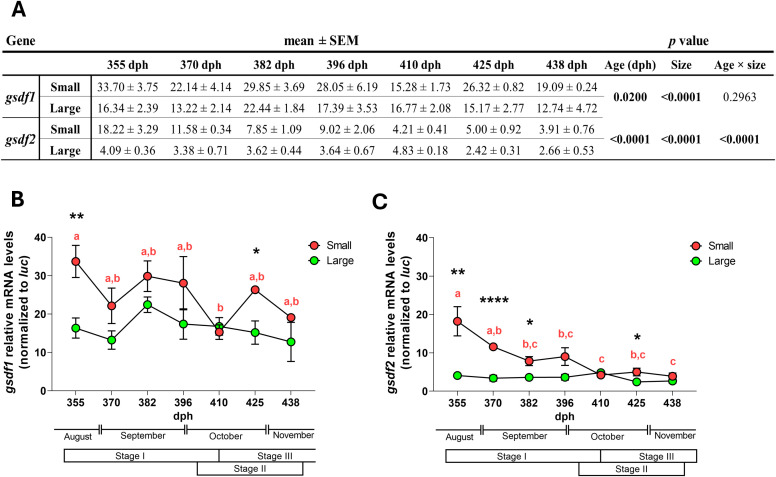 Figure 6