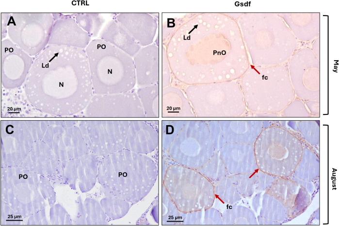 Figure 11