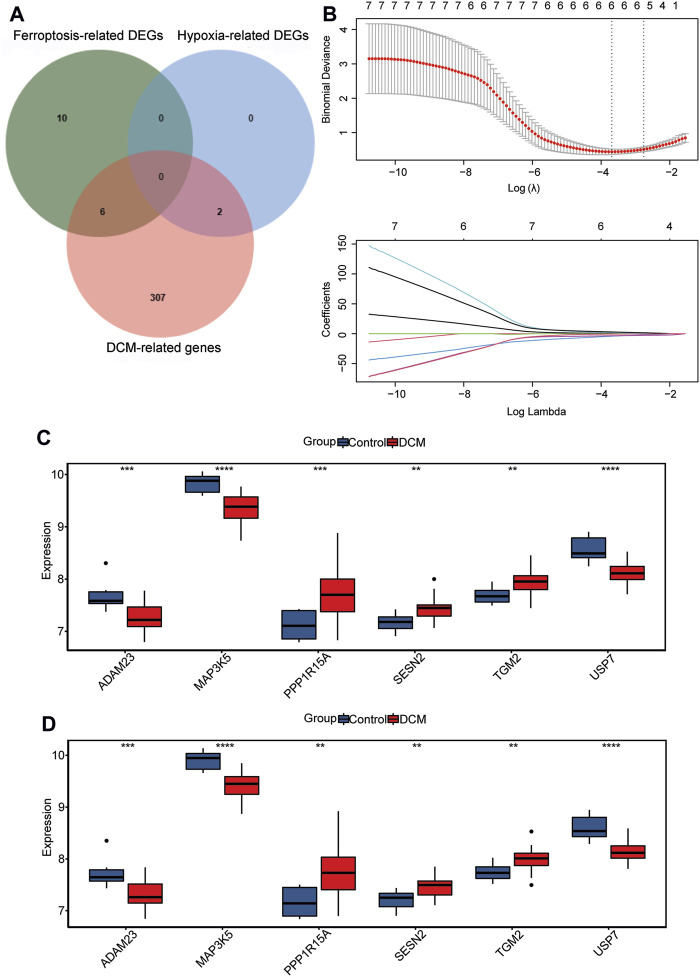 FIGURE 3