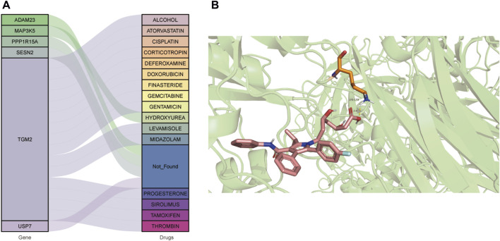 FIGURE 7