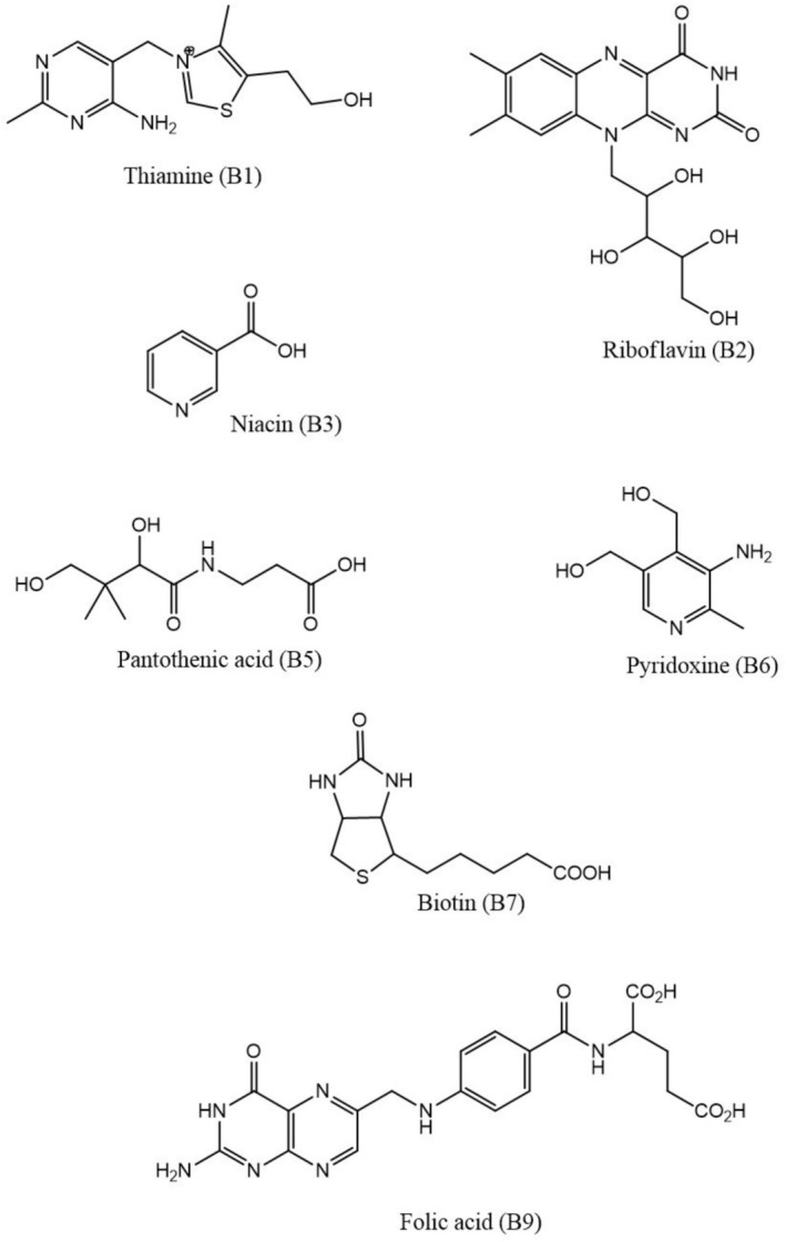 FIGURE 1