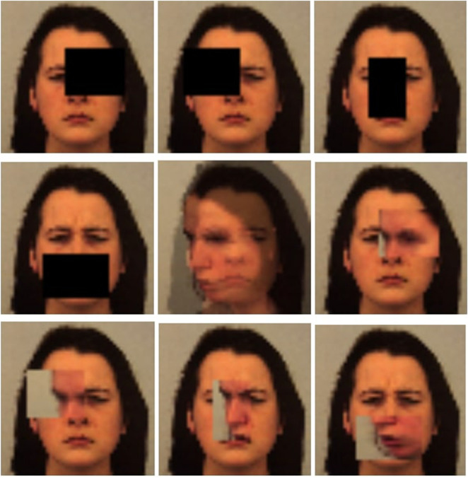 FIGURE 2