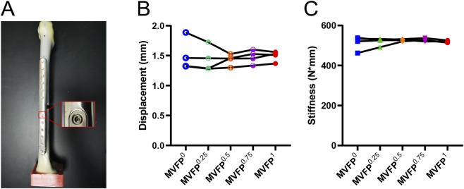 FIGURE 12