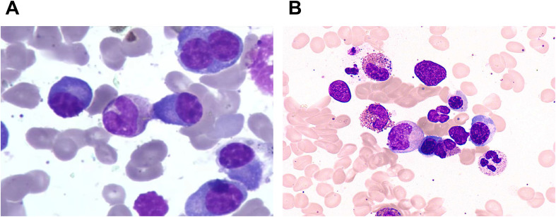 Figure 1