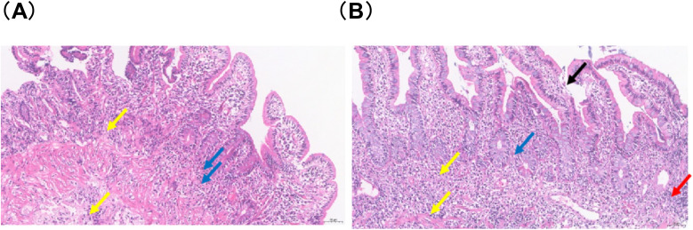 Figure 3