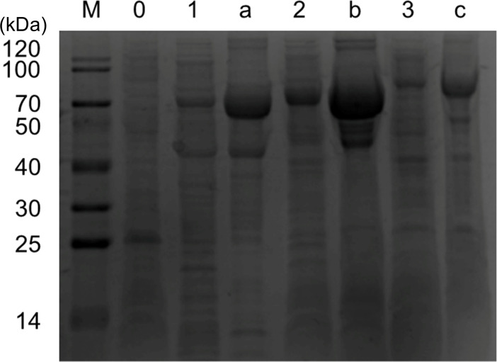Figure 3