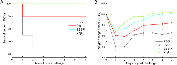 Figure 6