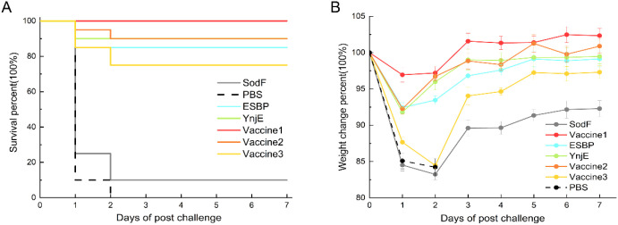 Figure 7