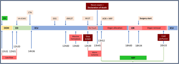 Figure 3