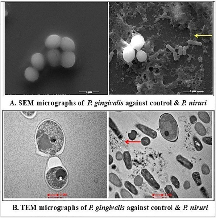 Figure 4
