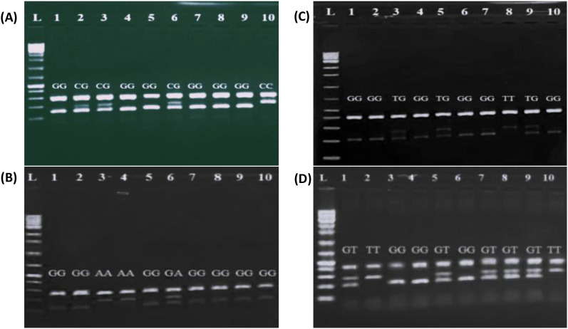 Figure 1