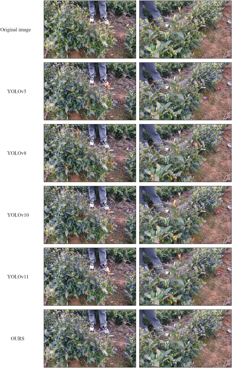 Figure 11