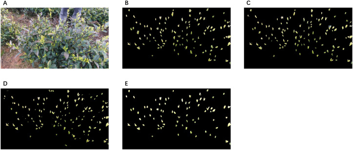 Figure 12