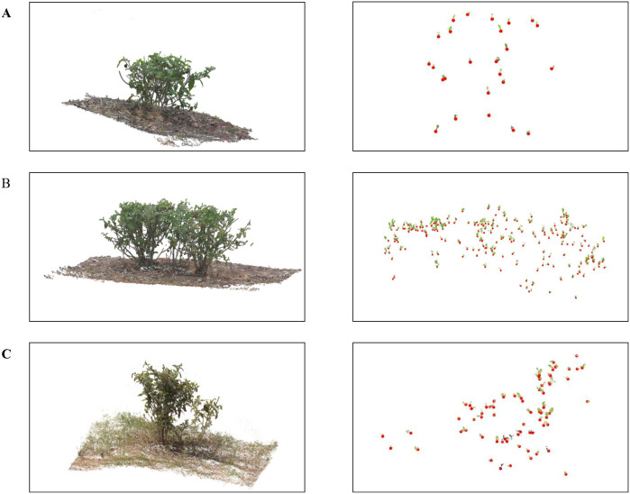 Figure 17