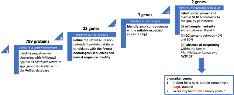 Figure 3
