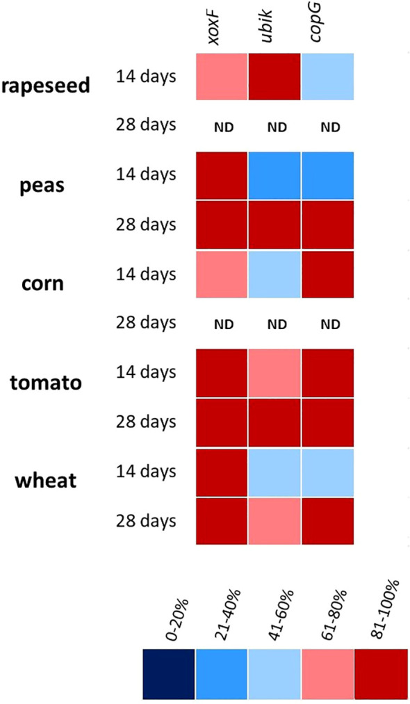 Figure 5