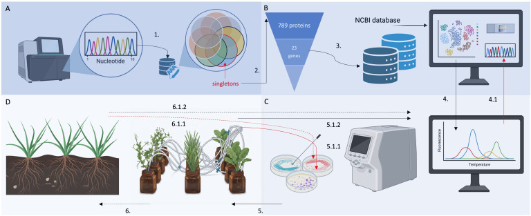 Figure 6