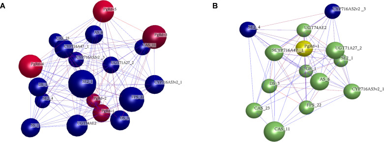 Figure 5