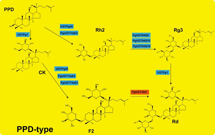 Figure 10