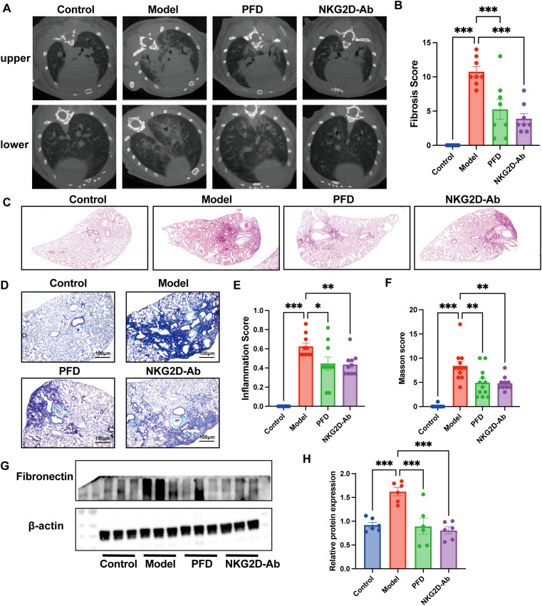Figure 6